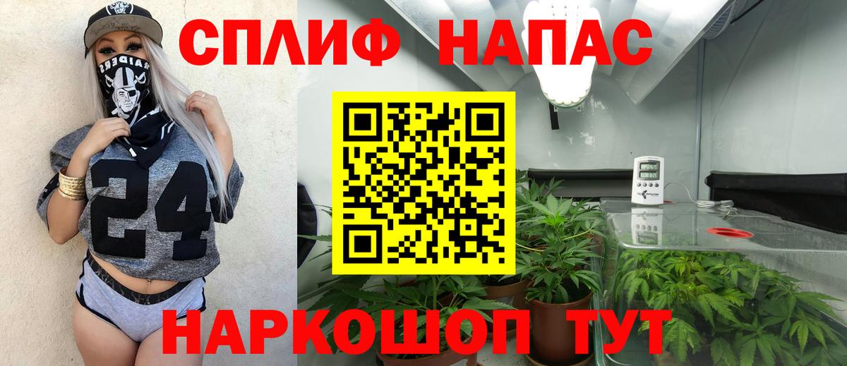 Бошки марихуана конопля  Бошки марихуана тримм  Вход с VPN  Карачаевск  Бошки Шишки конопля 